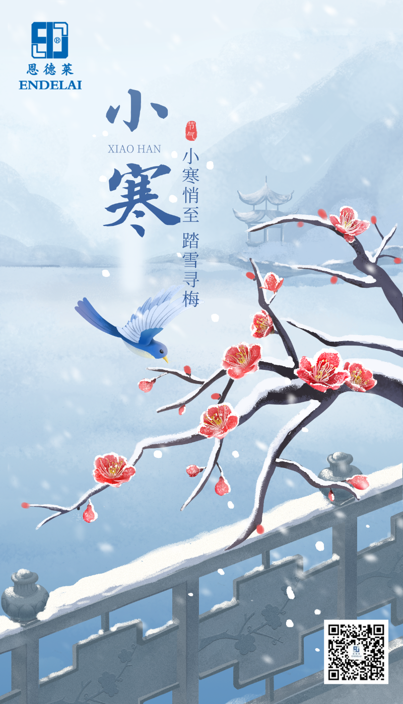 手繪風小寒主題海報