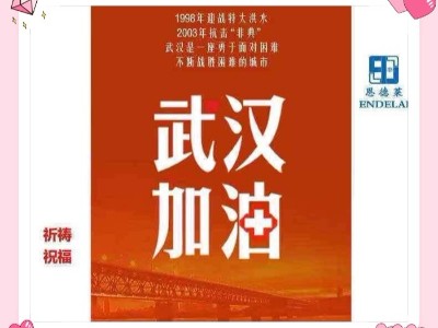 恩德萊系統組織網絡視頻學習